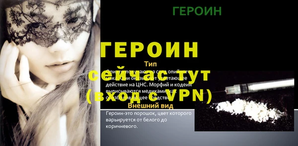 прущие грибы Горно-Алтайск