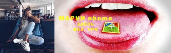 прущие грибы Горно-Алтайск