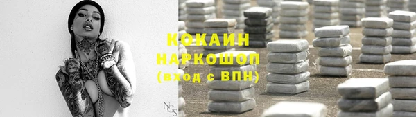 прущие грибы Горно-Алтайск