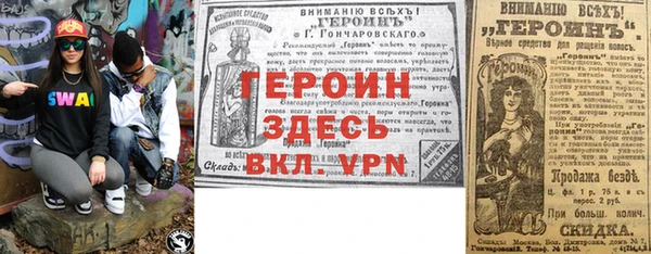 прущие грибы Горно-Алтайск