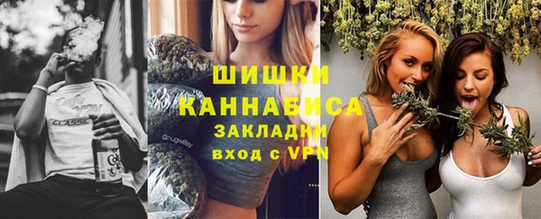прущие грибы Горно-Алтайск