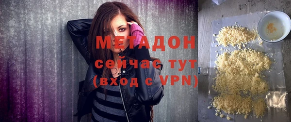 прущие грибы Горно-Алтайск