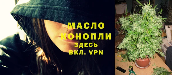 прущие грибы Горно-Алтайск