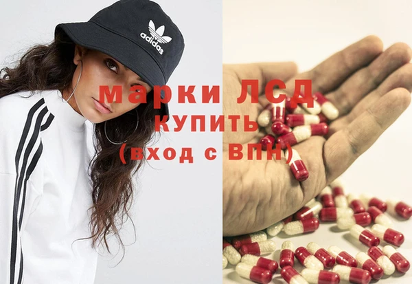 прущие грибы Горно-Алтайск