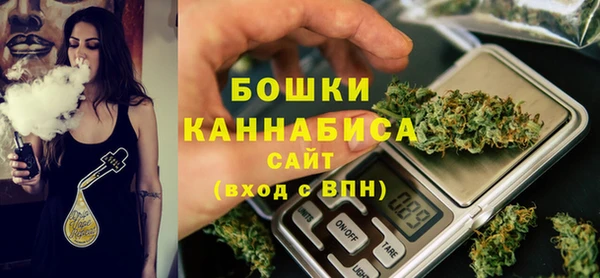 ALPHA PVP Горнозаводск