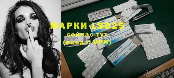 прущие грибы Горно-Алтайск
