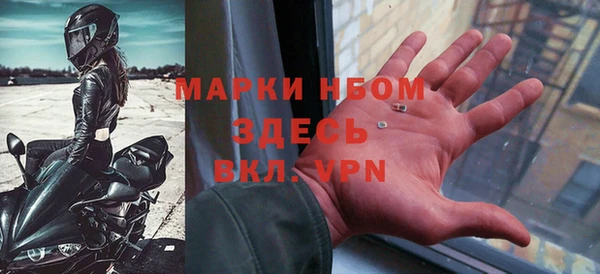 прущие грибы Горно-Алтайск