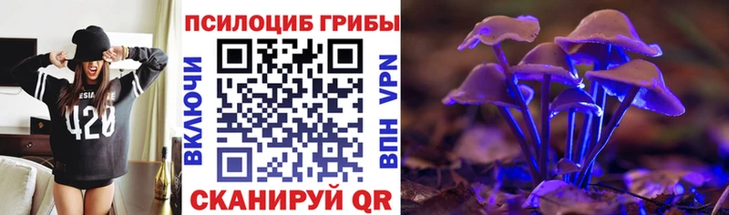 Псилоцибиновые грибы MAGIC MUSHROOMS  Купить где  Павловск 